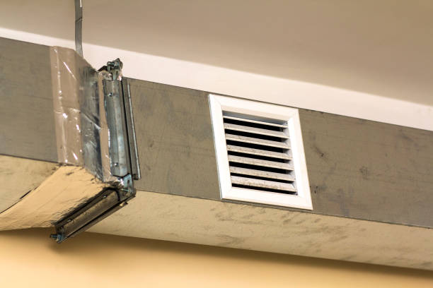 Best Affordable Duct Cleaning Services  in Valrico, FL